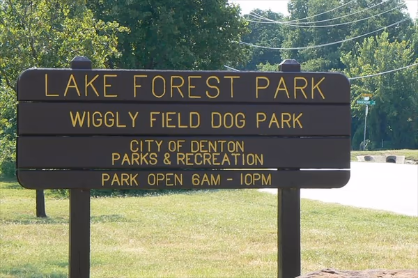Wiggly Field at Lake Forest Park photo 1